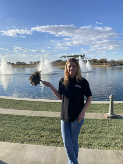 sav House Cleaning Goodyear Buckeye Avondale Surprise